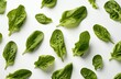 some leafy greens are on a white background, isolated