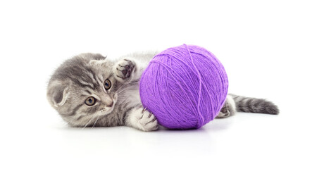 Wall Mural - Cat with ball of yarn.