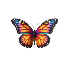 Colorful Butterflies Isolated On Transparent Background