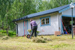 Mature women collecting fresh cut grass to garden wheelbarrow - summer gardening work at summer cottage. Rear photo