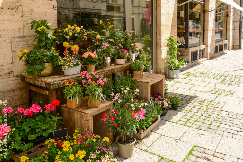 Pots with beautiful flowers on street market