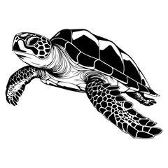 Wall Mural - Turtle marine animal icon. Sea turtle silhouette. vector illustration