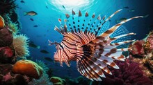 A Stunning Lionfish At A Coral Reef