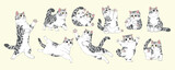 Fototapeta Pokój dzieciecy - cute Cartoon American Shorthair Silver Tabby White cat set,Isolated. Vector illustration