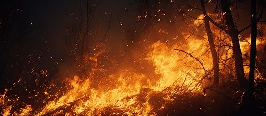 Poster - Nighttime footage of a close-up blaze in the wild