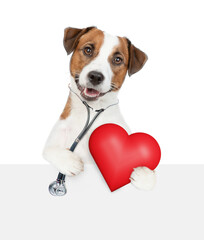 Poster - Smart jack russell terrier with stethoscope on his neck looks above empty white banner and holds red heart. isolated on white background