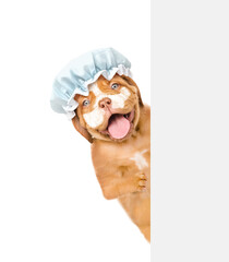 Fototapete - Happy Mastiff puppy wearing shower cap with cream on it face holds shower brush and looks from behind empty white banner. Isolated on white background