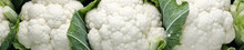 An Overhead Photo Of Fresh Cauliflower Covered In Water Drops