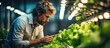 Male scientist examines organic, hydroponic vegetable research on indoor vertical farm.
