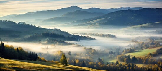 Poster - Misty morning scenery of Carpathian mountains among beautiful autumn landscape.