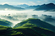 Landscape farming mountain asian nature travel valley rice asia field terrace green agriculture