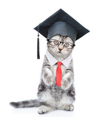 Poster - Happy graduated cat wearing necktie and eyeglasses standing on hind legs. isolated on white background