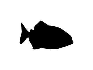 Wall Mural - Piranha Fish Silhouette, can use for Logo Gram, Website, Art Illustration, Pictogram, Icon or Graphic Design Element. Vector Illustration 