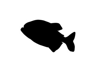 Wall Mural - Piranha Fish Silhouette, can use for Logo Gram, Website, Art Illustration, Pictogram, Icon or Graphic Design Element. Vector Illustration 