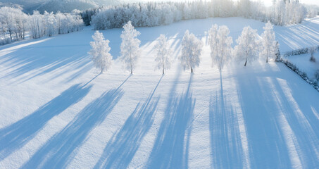 Morning aerial view of the winter forest. Top view of snow-covered trees. Beautiful northern nature. Ecological tourism in the woodland. Wide natural background. Aerial shot of trees covered in snow