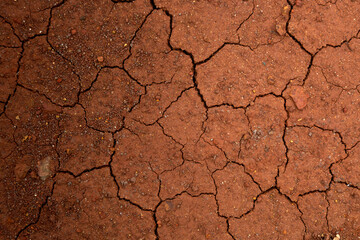 Sticker - Closeup view of dry cracked soil