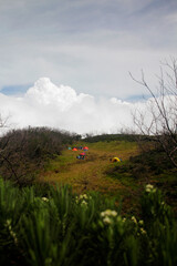 mountain view with tent and cloud in the background