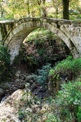 Wall Mural - travel to georgia - mirveti arch bridge over creek (bridge of queen tamar in mirveti) in adjara on a