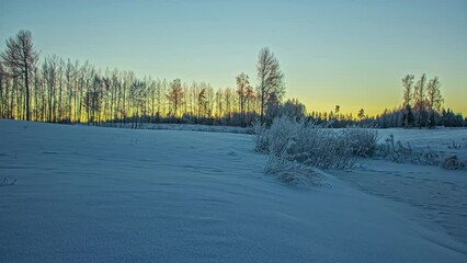 Wall Mural - Time-lapse of a colorful sunset behind frosty trees on the snowy countryside