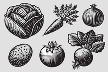 Engraving Black Vintage Vegetable Set On A White Background: Cabbage, Beet, Onion, Carrot, Potatoes, Tomato. For Borscht	