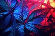 Bright neon tropical plants, Leaves in purple, pink, and blue tones, Cyberpunk-style ficus.