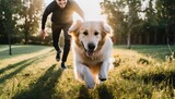 Fototapeta  - Pies biegający ze swoim opiekunem. Spacer z psem, opieka nad czworonogiem