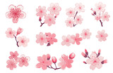 Fototapeta Łazienka - Pink Japanese cherry blossoms, spring cherry blossom. Cherry blossom japanese sakura