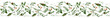 Floral seamless border pattern from hand drawn bird vetch twigs, flowers and pea pods on a white background