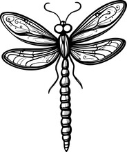 Dragonfly Cartoon 