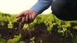farmer holds soil field hand. Agriculture. methods growing processing plants, various technologies practices aimed increasing productivity improving product quality, farmer holds soil hand field soil.
