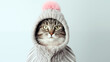 Cute cat wearing a warm hat on a blue background. Striped kitten in knitted jacket close up with space for text. Clothes for pets.