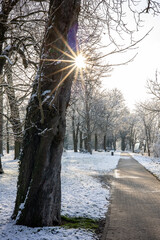 A winter landscape with a footpath in a forest with snow in the sun light and a sun star