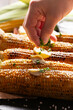 Grilled sweet corn cobs with butter on the table seasoned with cilantro by human hand close up low angle view