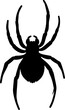 Orange Spider icon 4