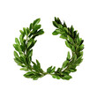 Green laurel wreath. Isolated on transparent background.