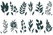 Set of elegant silhouettes of flowers, branches and leaves. Thin hand drawn vector botanical elements	