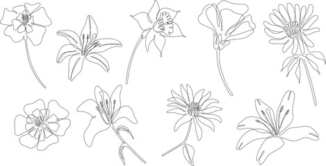 Flowers isolated on white illustration collection. Wildflowers for background. Abstract botanical art. Simple minimalist art set. Continuous line drawing set.