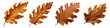 © sam - dry oak leaves set isolated on transparent background - design element PNG cutout collection