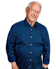 Senior man with grey hair wearing casual shirt and glasses relaxed with serious expression on face. simple and natural looking at the camera.