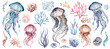 Underwater sea jellyfish on an isolated background. Watercolor set elements of the undersea world. Sea animals are hand drawn. Ocean fauna clipart for kids design.