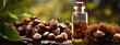 bottle, jars of essential oil extract chestnut