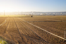 Sunlit Agricultural Field Ready For Irrigation