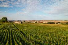 Idyllic View Of Agricultural Landscape Under Sky