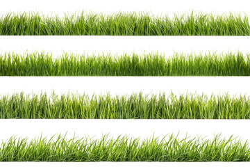 A set of long horizontal stripes of green grass cut out on a transparent background in PNG format. A strip of grass with various sprouts, side view, close-up.