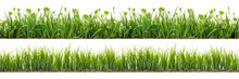 A Set Of Long Horizontal Stripes Of Green Grass Cut Out On A Transparent Background In PNG Format. A Strip Of Grass With Various Sprouts, Side View, Close-up.