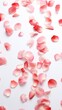 Valentine's Day concept, background of red rose petals on white background