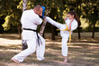 © VlaDee - Portrait of girl doing martial arts at summer park outdoors