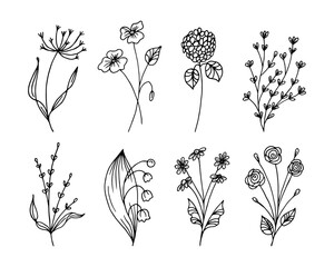 Wall Mural - Hand drawn outline flowers in doodle style, set. Icons, sketch, vector