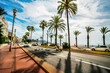 © Marat Lala - Amazing  Promenade des Anglais with fantastic palm trees, auto road  along coastline of Nice beach