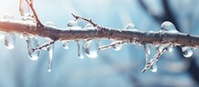 March Tree Branch Melts As Spring Icicle Background.